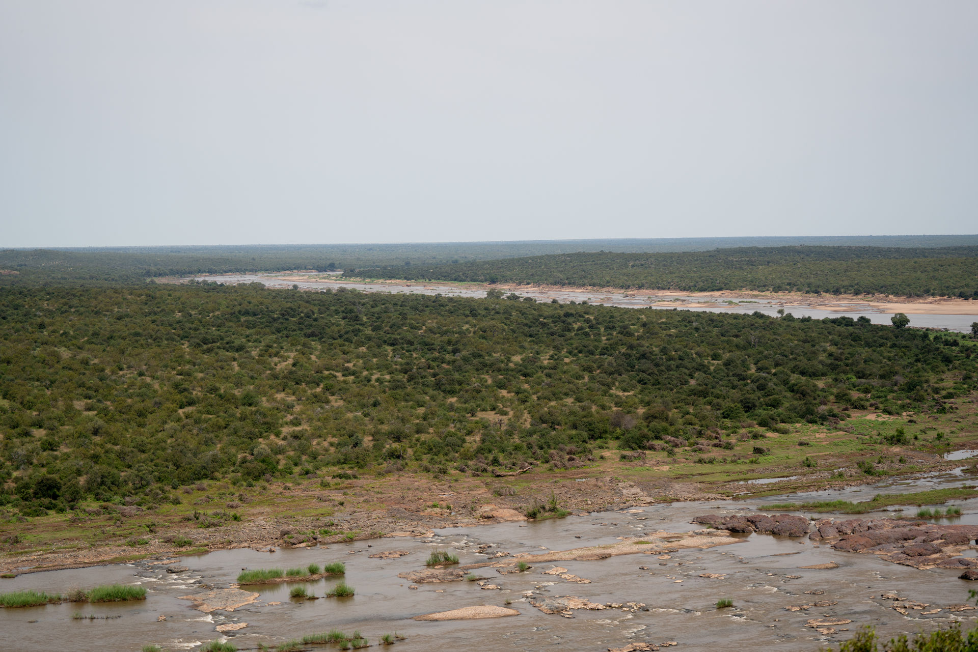 Safari Stille